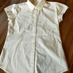 服/ファッション シャツの画像