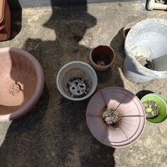 プランター？鉢植え？園芸用土？薬？などの画像