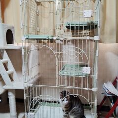 ネコゲージ　キャットゲージの画像