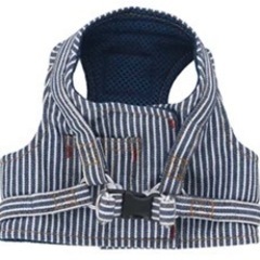BEAMS DESIGN（ビームス デザイン）ハーネス&リード セットの画像