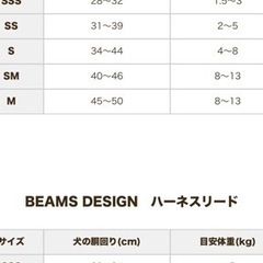 BEAMS DESIGN（ビームス デザイン）ハーネス&リード セットの画像