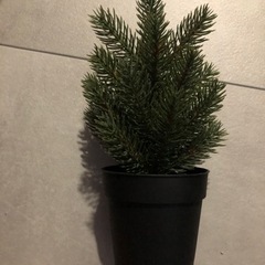 値下不可 IKEA フェイク 植物