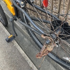 決まりました。ありがとうございますの画像