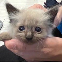 無事お渡し完了しました