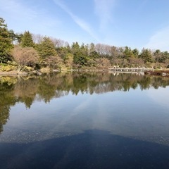四季の行事が好きな方