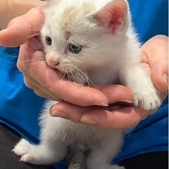 無事お渡しできました4