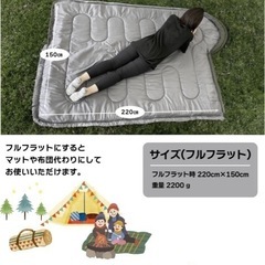 寝袋 シュラフ 枕付き/新品未使用！の画像