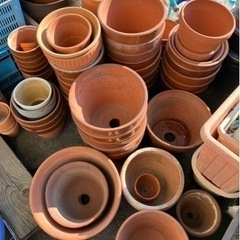 植木鉢　各サイズ　50円から