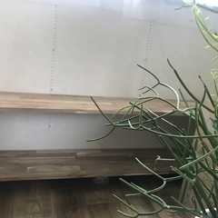 棚　板　木工　DIY 1枚2000円(4枚まで)の画像
