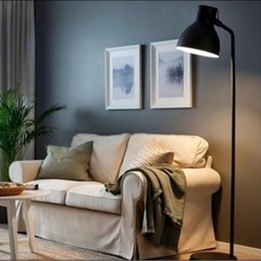 ヘクタルの中古が安い！激安で譲ります・無料であげます(2ページ目