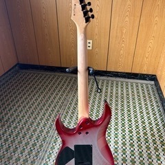 譲渡先が決定致しました。多数のご応募ありがとうございました。の画像