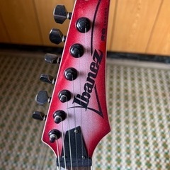 譲渡先が決定致しました。多数のご応募ありがとうございました。の画像