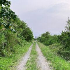 簡単！草集め作業！７月１日～石垣市　自然の中でもくもくと作業しま...