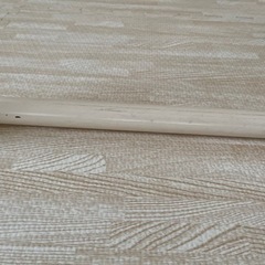 自作遊具　イレクターパイプ の画像