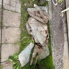 庭石　下見可能です！の画像