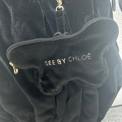 Chloe⭐︎バッグの画像