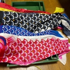 こいのぼりの画像