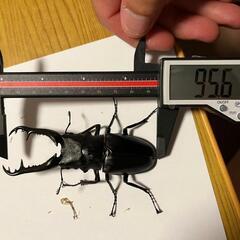 子供用品 ベビー用品 おもちゃ
