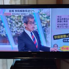 三菱 43インチ REAL  テレビの画像