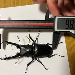 子供用品 ベビー用品 おもちゃ