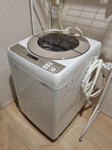 洗濯機 シャープ 9kg ES-KSV9C-N