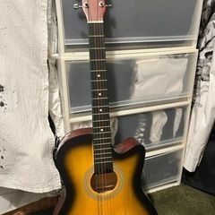 楽器 弦楽器、ギター