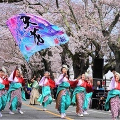 よさこい踊り子募集