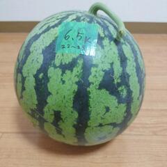 スイカ６.５㌔