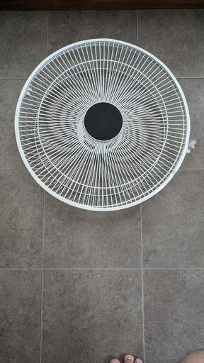 家電 季節、空調家電 扇風機