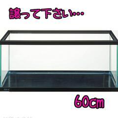 60cm以上の水槽 無料で欲しいです！