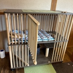 まだまだ使える子猫用お洒落なケージ
