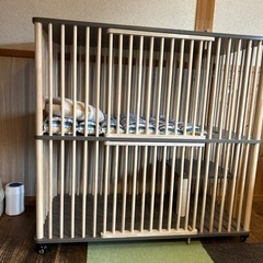 まだまだ使える子猫用お洒落なケージの画像