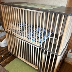 まだまだ使える子猫用お洒落なケージの画像