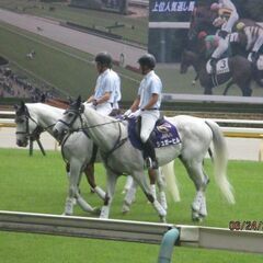 6/11,,メンバー募集です、