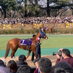 競馬に興味のある女性男性問わず募集します♪これから始める方大歓迎！ - 杉並区