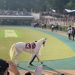 競馬に興味のある女性男性問わず募集します♪これから始める方大歓迎！ − 東京都