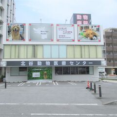 獣医師さんを募集しています！