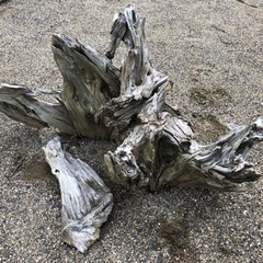 流木