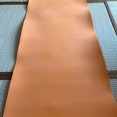 ヨガマット (カバー付き)