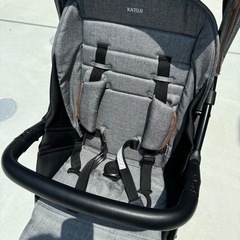 【決まりました】KATOJI　カトージ 2-Seater 2人乗りベビーカー　　の画像