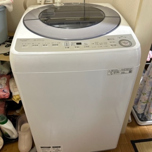家電 生活家電 洗濯機