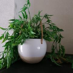 吊り造花1つと花瓶入り造花