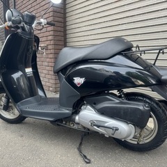 原付バイク HONDA TODAY  