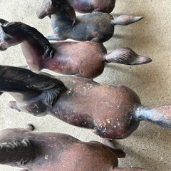 鉄の馬　家具 インテリア雑貨/小物 置物、オブジェの画像