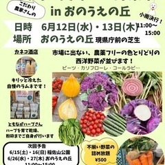 西洋野菜市