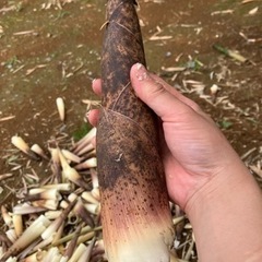 食品