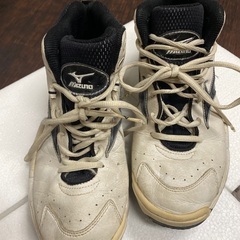 MIZUNO スニーカー25.5