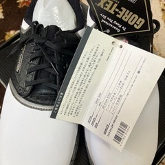🏌️‍♂️未使用経年ゴルフシューズ