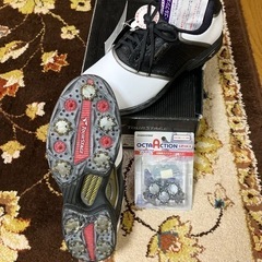 🏌️‍♂️未使用経年ゴルフシューズの画像