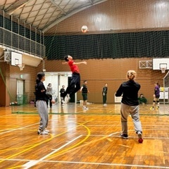 6人制　男女混合個人参加型バレーボール - スポーツ